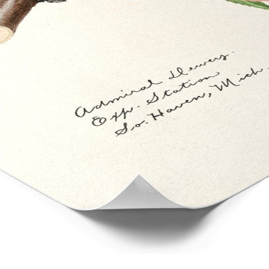 Perzikpruik (Prunus Persica) Poster (Hoek)