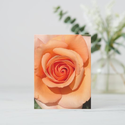 PerzikRoos Briefkaart (Staand voorkant)