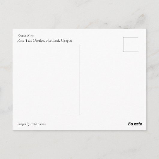 PerzikRoos Briefkaart (Achterkant)