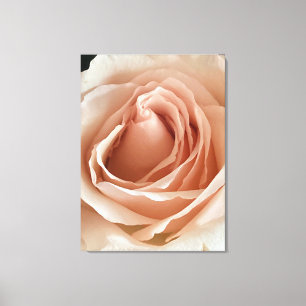 PerzikRoos Canvas Afdruk