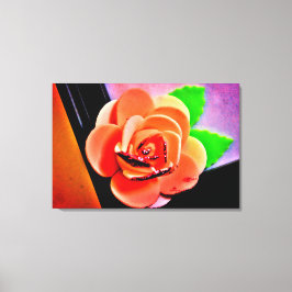 PerzikRoos Canvas Afdruk