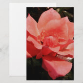 perzikroos en -druppels briefpapier (Voorkant / Achterkant)