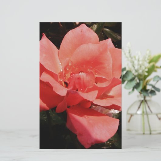 perzikroos en -druppels briefpapier (Staand voorkant)