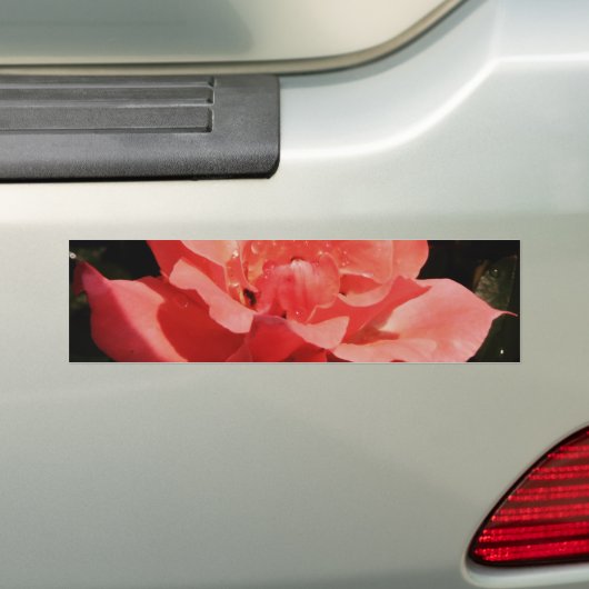 perzikroos en -druppels bumpersticker (Op auto)