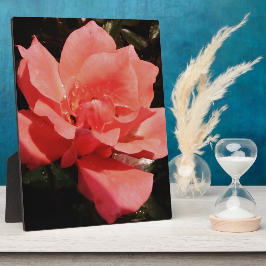 perzikroos en -druppels fotoplaat (Zijkant)