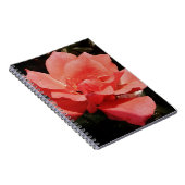 perzikroos en -druppels notitieboek (Rechterzijde)