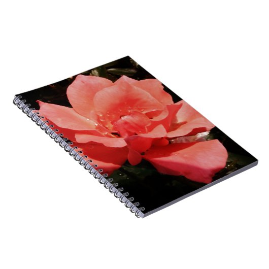 perzikroos en -druppels notitieboek (Rechterzijde)