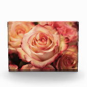 PerzikRoos Fotoblokken (Voorkant)