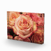 PerzikRoos Fotoblokken (Rechts)