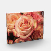 PerzikRoos Fotoblokken (Links)