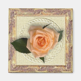 PerzikRoos in Lijst Magneet