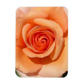 PerzikRoos Magneet (Verticaal)