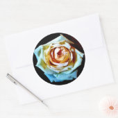 PerzikRoos Ronde Sticker (Envelop)