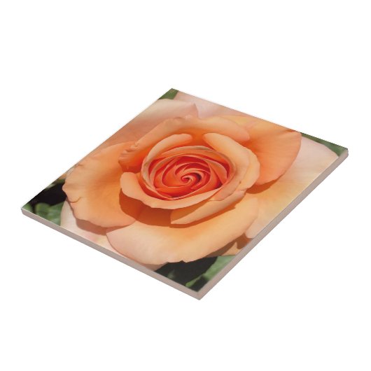 PerzikRoos Tegeltje (Zijkant)