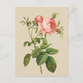  perzikroos voor elk doel briefkaart (Voorkant)