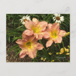 Perzikroze met gele keelbloemen overdag briefkaart