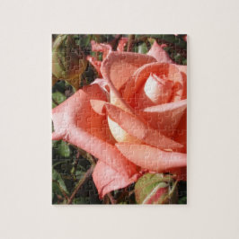 Perzikroze Roos Legpuzzel