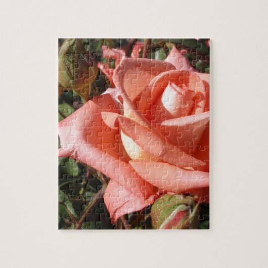Perzikroze Roos Legpuzzel (Verticaal)