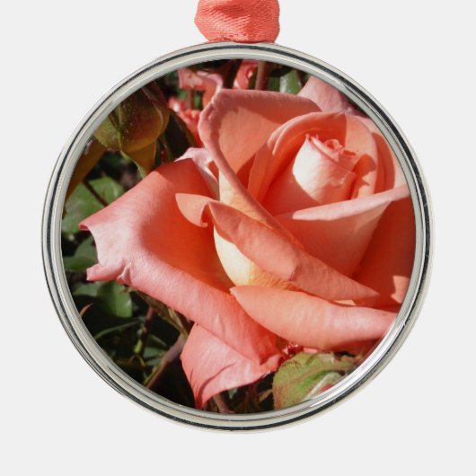 Perzikroze Roos Metalen Ornament (Voorkant)