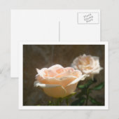 PerzikRozen Briefkaart (Voorkant / Achterkant)