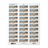 Perzikschelpen en pareljuwelen Vrijgezellenfeest Etiket (Full Sheet)