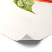 Perzikspek (Prunus Persica) Poster (Hoek)