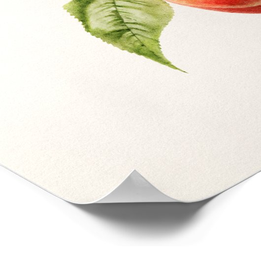 Perzikspek (Prunus Persica) Poster (Hoek)