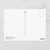 Perzikstrand - Venezuela - reizen - oceaan Briefkaart (Achterkant)