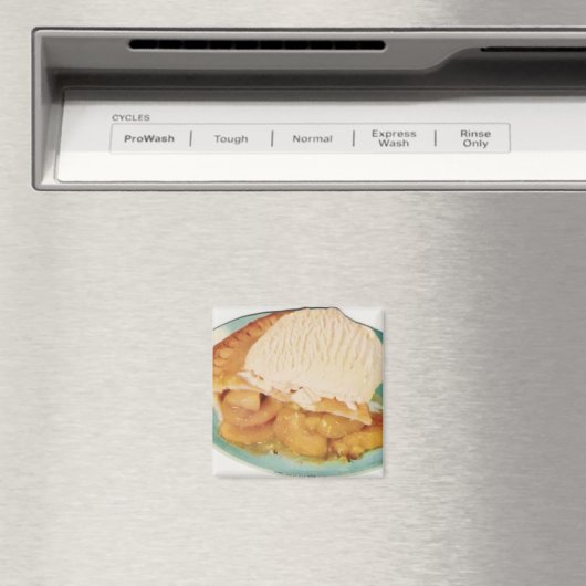 perziktaartmagneet magneet (Insitu (Vaatwasser))