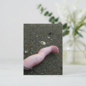 Perzikvervuiling gebroken poppoot op zand briefkaart (Staand voorkant)