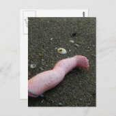 Perzikvervuiling gebroken poppoot op zand briefkaart (Voorkant / Achterkant)