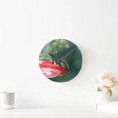 Perzikvogel Ronde Klok (Huis)