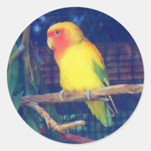 Perzikwalvisvogel #1 Sticker
