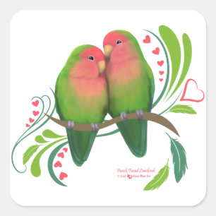 Perzikzijde Tortelduifjes Vierkante Sticker