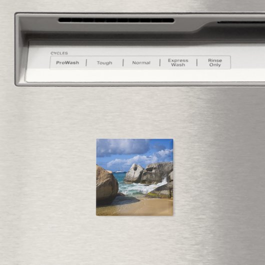 Perzikzijde Virgin Gorda, Britse maagd Magneet (Insitu (Vaatwasser))