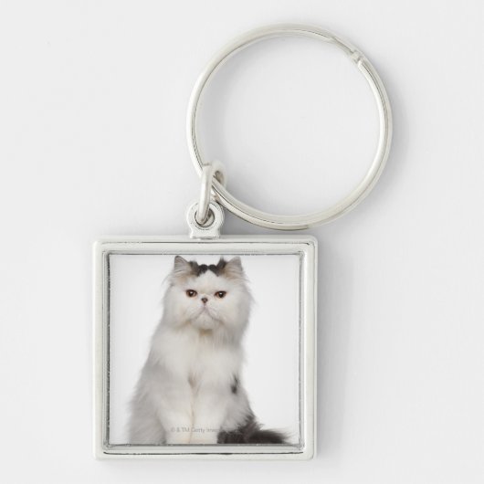 Perzisch (10 maanden oud) zittend sleutelhanger (Voorkant)