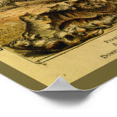 Perzisch Angola Cat Natural History Print (Hoek)