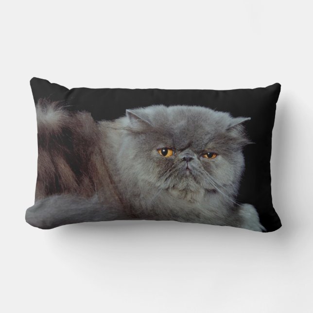 Perzisch Blauw Kussen (Voorkant)