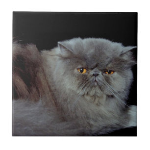 Perzisch Blauw Tegeltje