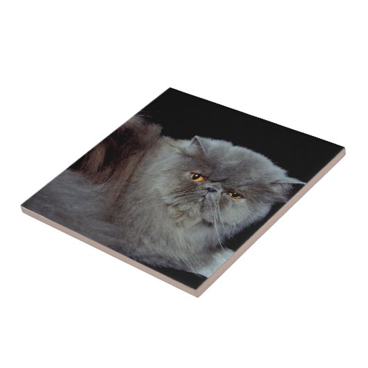 Perzisch Blauw Tegeltje (Zijkant)