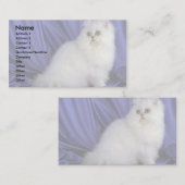 Perzisch, chinchilla visitekaartje (Voorkant / Achterkant)