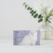 Perzisch, chinchilla visitekaartje (Staand voorkant)