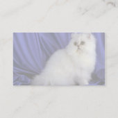 Perzisch, chinchilla visitekaartje (Achterkant)