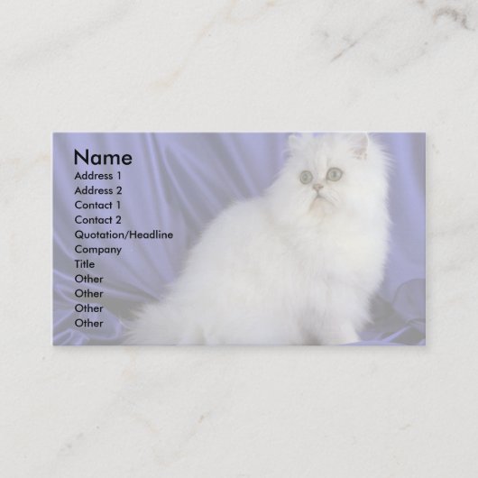 Perzisch, chinchilla visitekaartje (Voorkant)