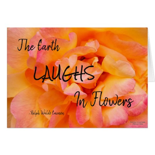 Perzisch gele roze blend Roos aanvulfoto (Voorkant Horizontaal)