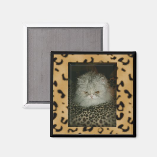 Perzisch Kat Magneet (Voorkant / Achterkant)