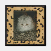 Perzisch Kat Magneet (Voorkant)