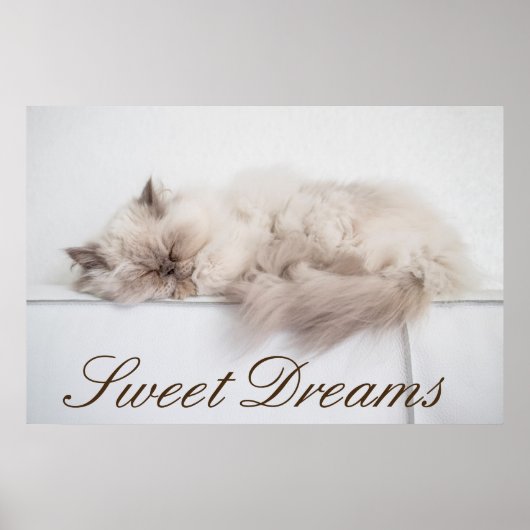 Perzisch kat poster (Voorkant)