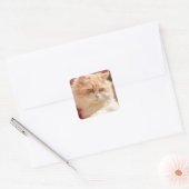 Perzisch kat vierkante sticker (Envelop)
