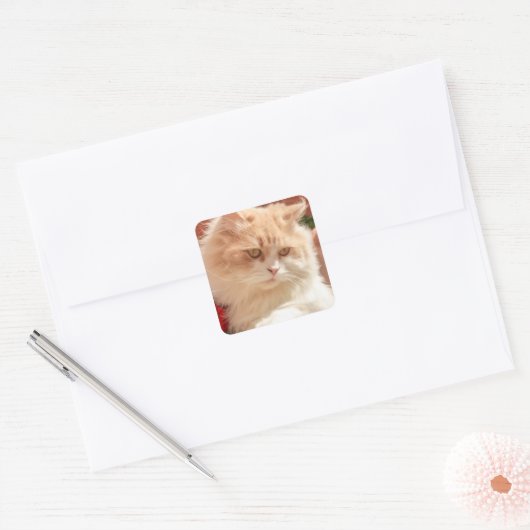 Perzisch kat vierkante sticker (Envelop)